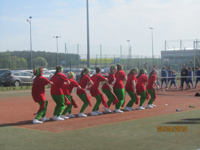 turta 211